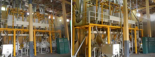 40 tpd wheat flour mill plant