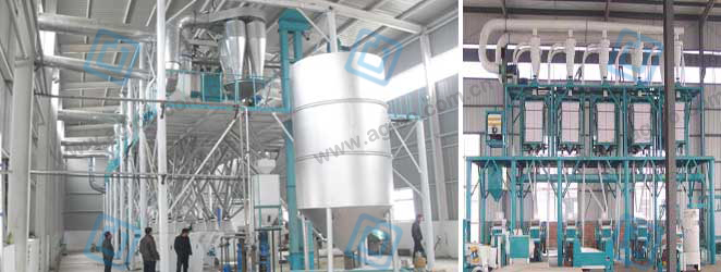 50 tpd wheat flour mill factory