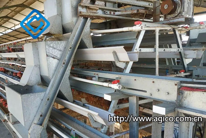 A-type layer poultry cage