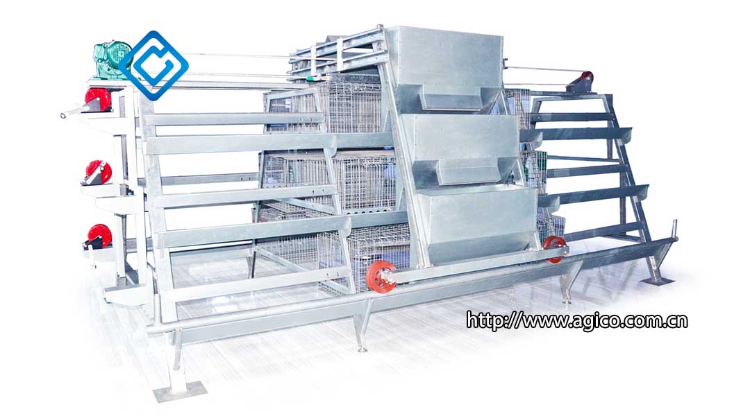 Application of 3 Tier Chicken Cage