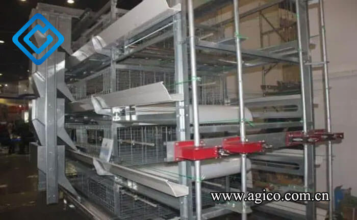 Automatic feeding equipment in auto poultry farm 