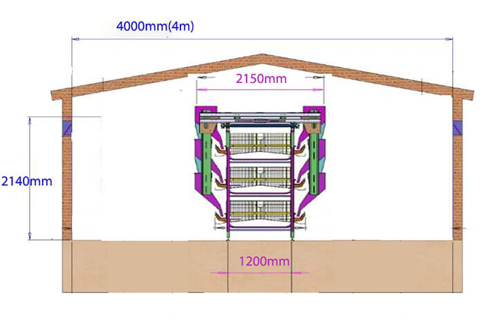 Layer Chicken House Plans For 500 Chickens Cage Layout And Display Design