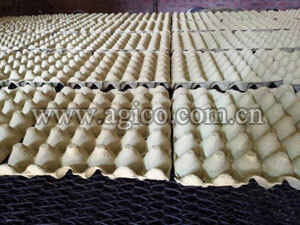 High-quality egg tray made by egg tray machine