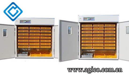 Large scale poultry egg incubator