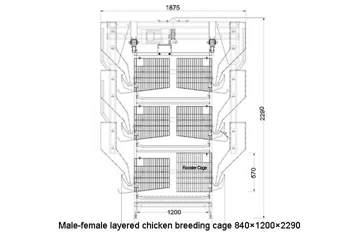 Male-female layered chicken breeding cage 840×1200×2290