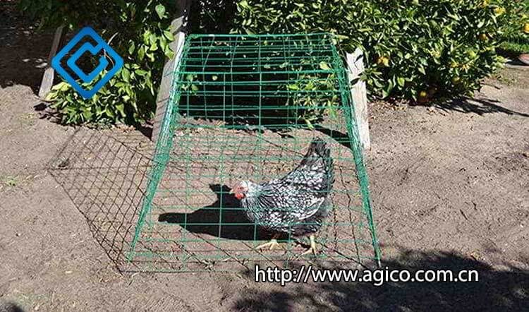 Metal Pyramid Chicken Cage for Single Chicken Feed Alone