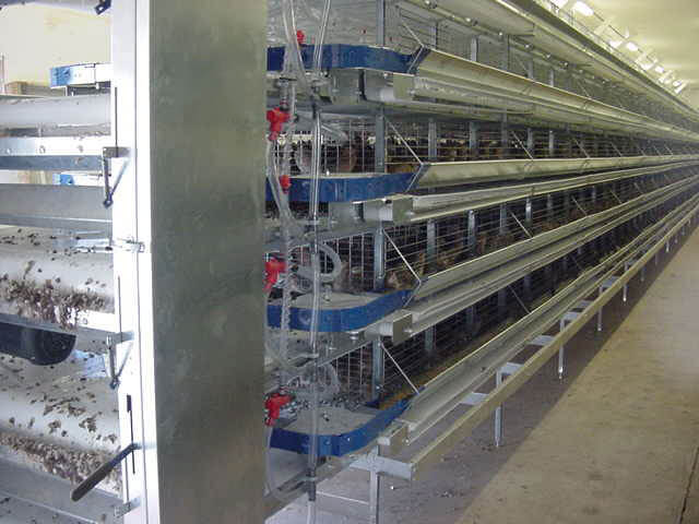 Quail Cage system