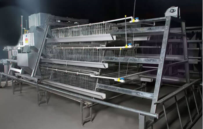 Type A Broiler Cage System