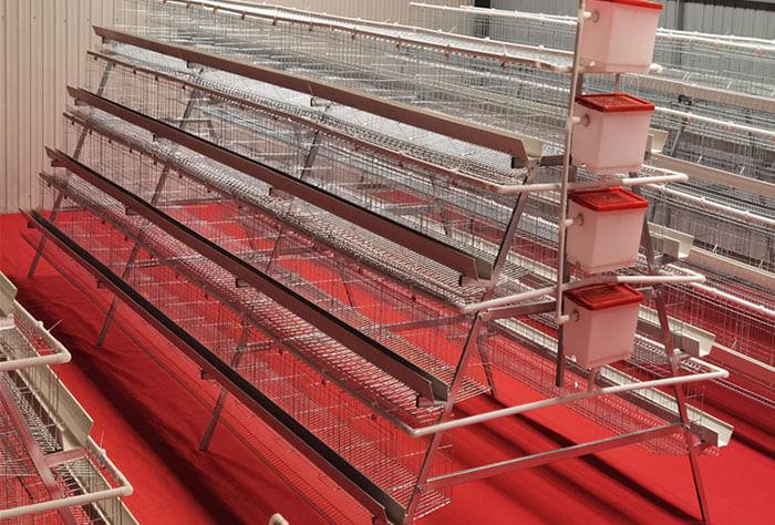 Type A Pullet Cage System