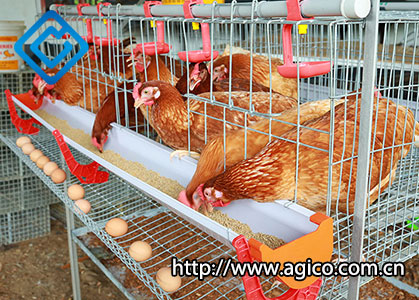What is BV 380 Chicken Cage?