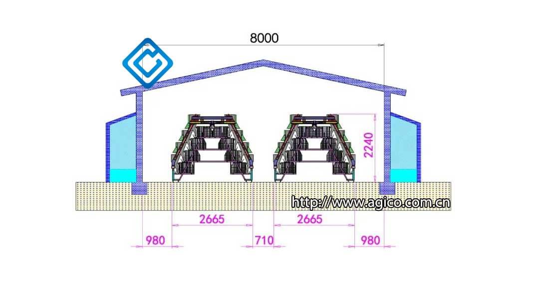 Width calculation and layout of broiler poultry house