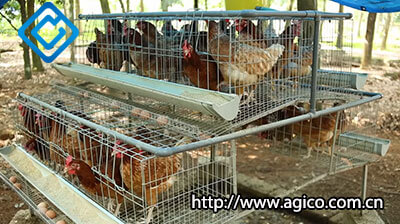 bv 380 chicken cage