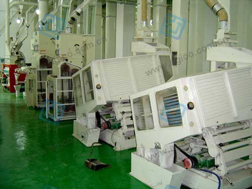 Algeria Flour Milling Plant 120TPD