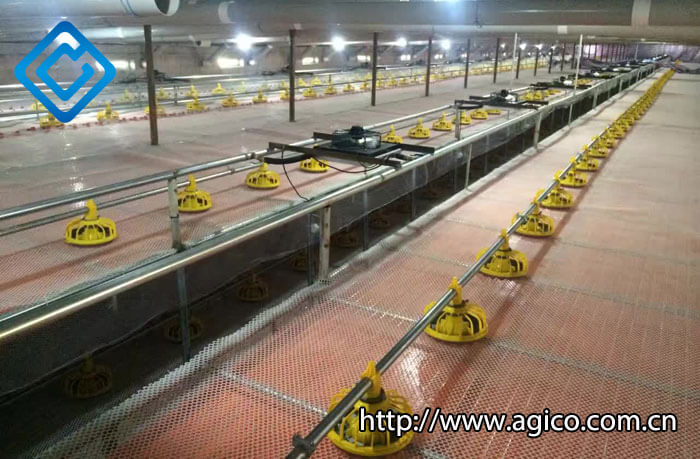 high-tech automatic chicken feeder for cage free chicken farm
