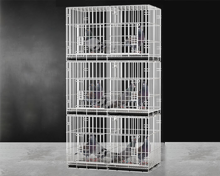 Pigeon Breeding Cages