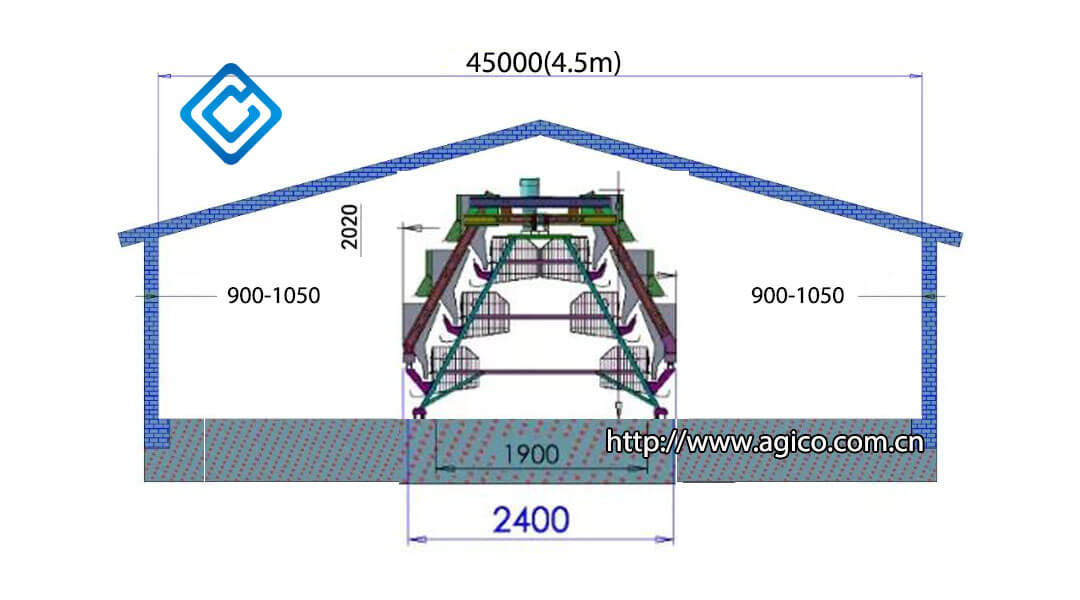 Length calculation and layout of 1000 layers poultry house