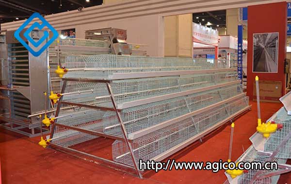 A-Type 4 tier layer cage