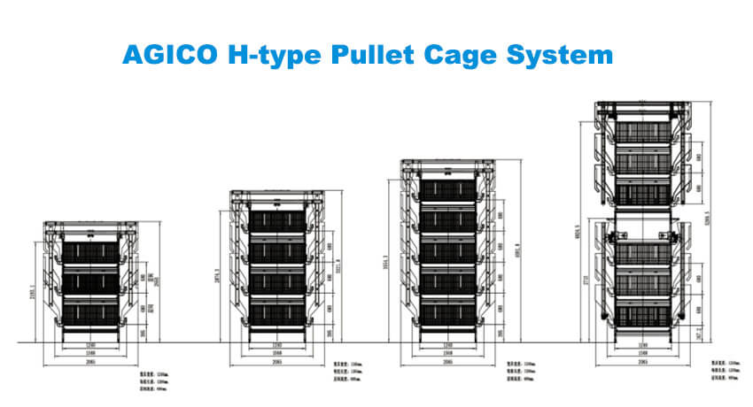H-type Pullet Cage System structure