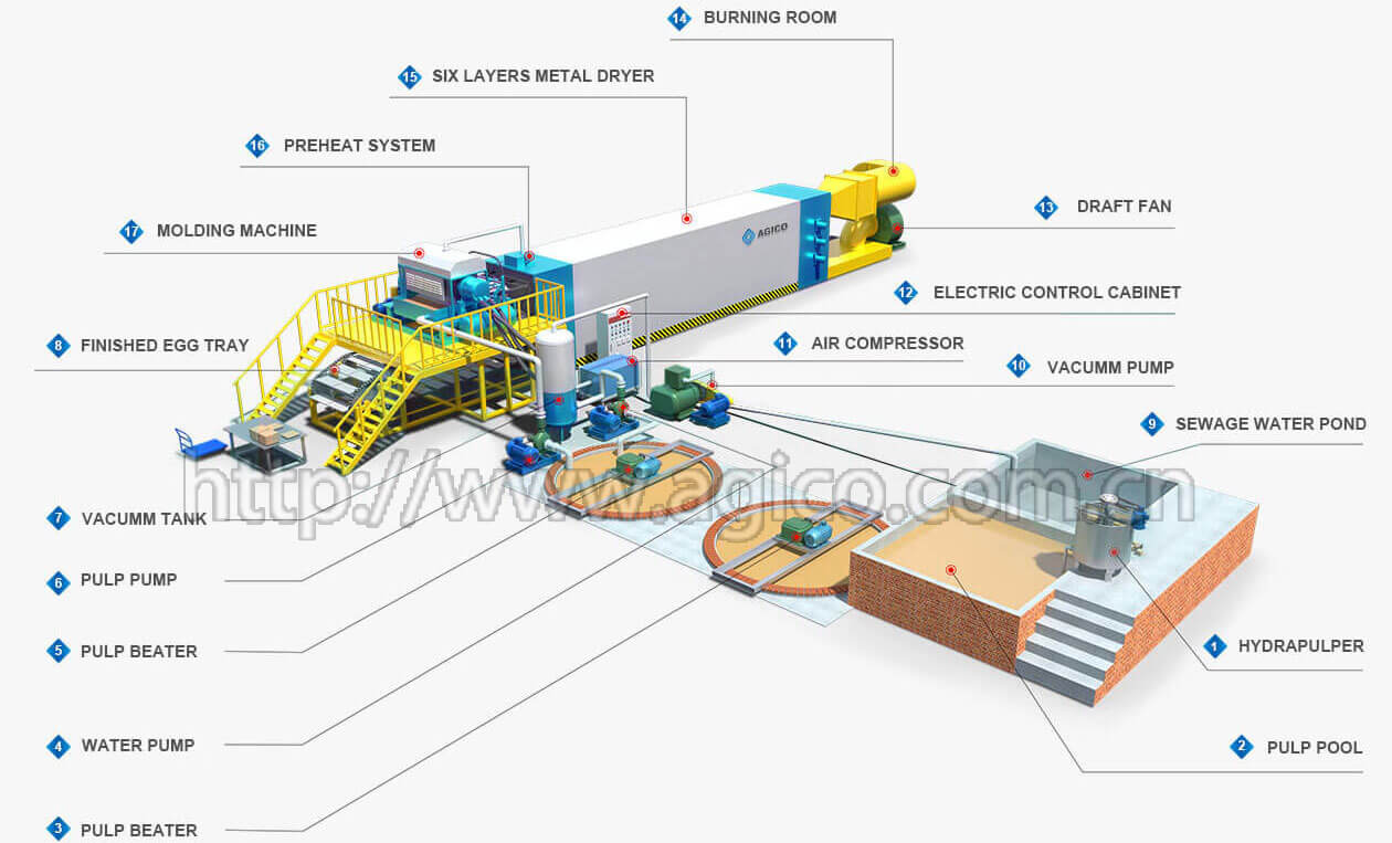 AGICO egg tray production line 