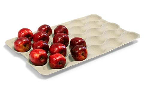 friut tray