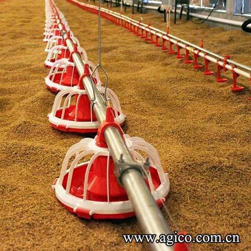 Automatic Pan Feeding System
