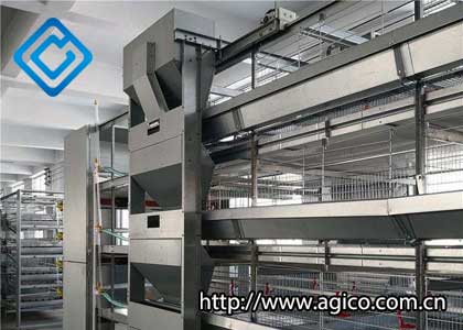 Automatic Feeding System for Poultry