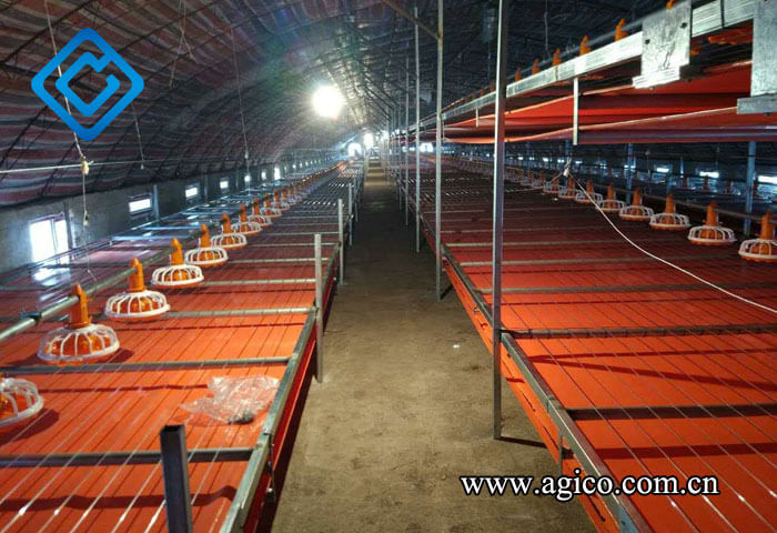 Automatic manure removal equipment in an automated farm 