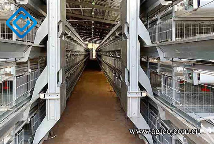 baby chick cage for chicken house