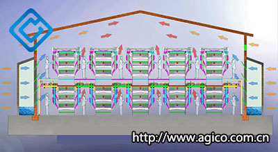 Broiler Poultry Farm Design