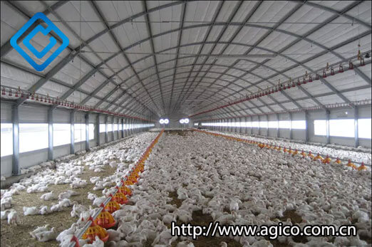Deep littered cage-free farming