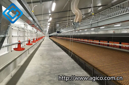 Deep littered combined with plastic slatted floor cage-free farming