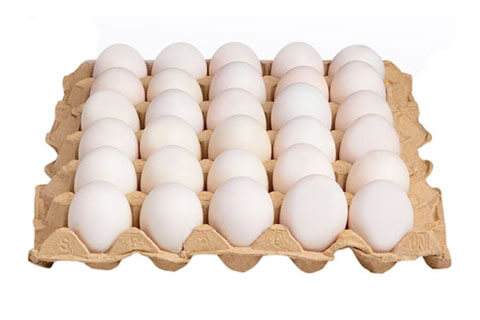 duck egg tray