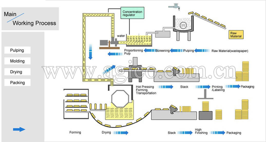 Egg Tray Manufacturing Process