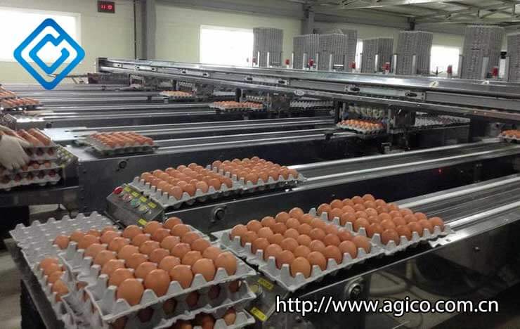 Egg packager on poultry farm equipment price list
