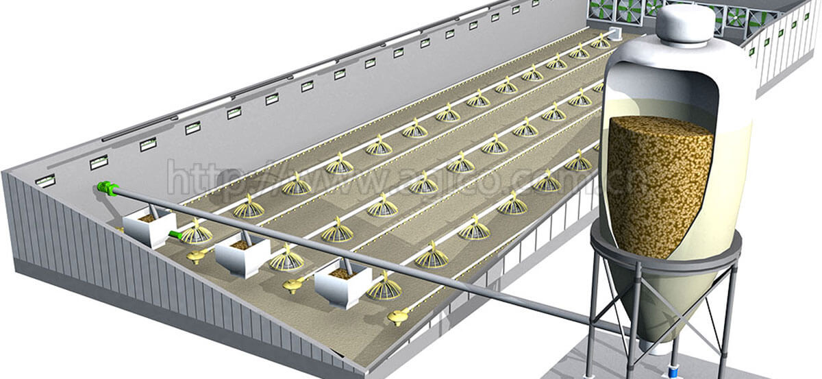 Fully Automatic Cage-Free Chicken Farm Solution