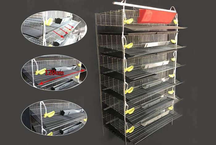 H-Type quail cage