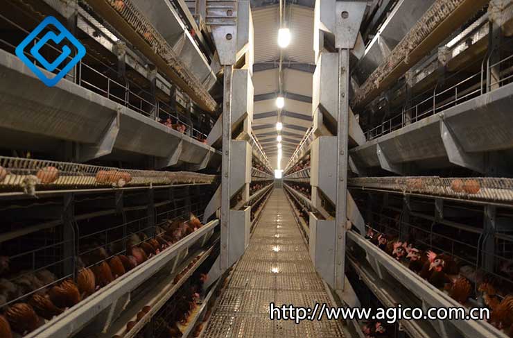 High-Quality Poultry House Equipment