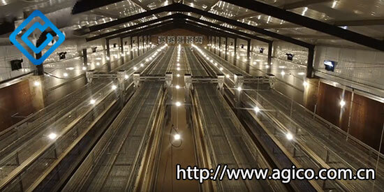 Inside of poultry house