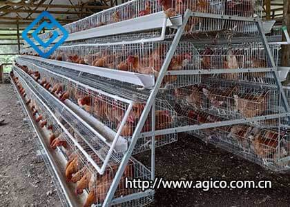 Three Commonly Used Pyramid Chicken Cages