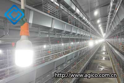 Lighting equipment in poultry house