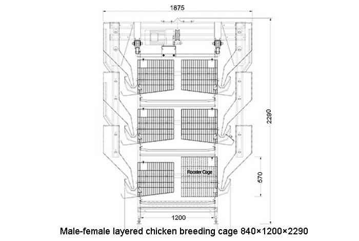 Male-female layered chicken breeding cage 840×1200×2290