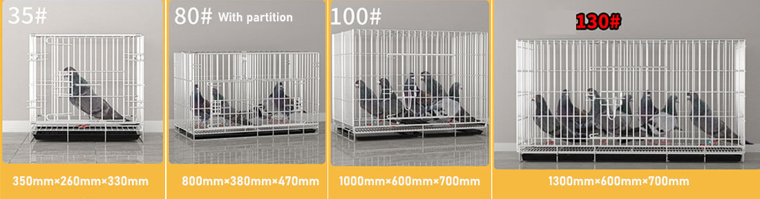 Pet Pigeon Cage Design and Specifications