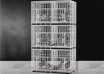 Pigeon Cage