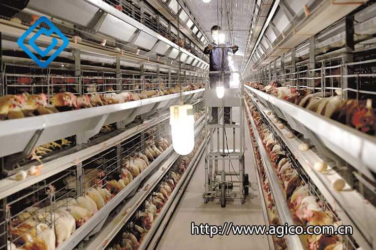 Poultry house lighting equipent
