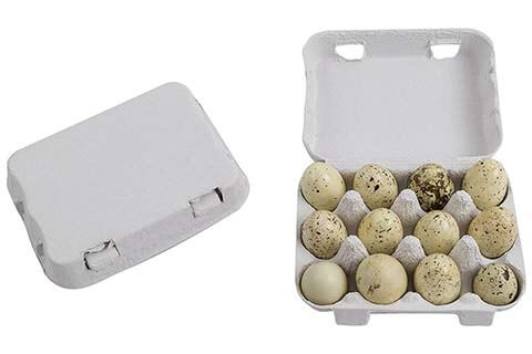 quail egg carton