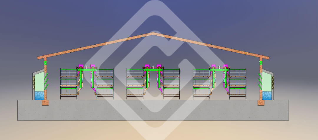 Steps of Commercial Poultry House Design