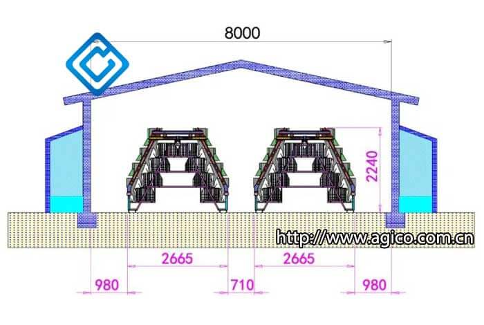 poultry house plans for 10000 chickens