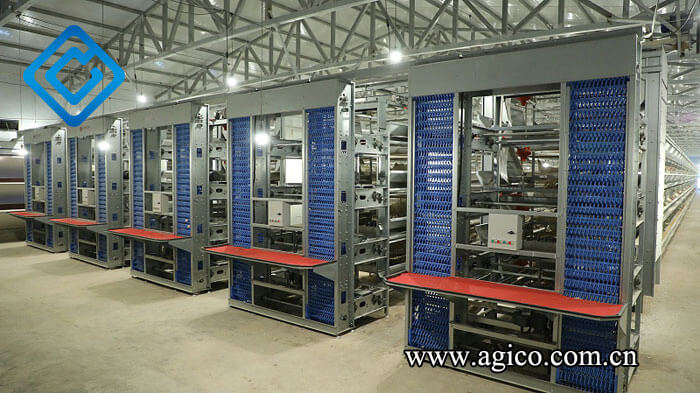 agico egg collection systems 