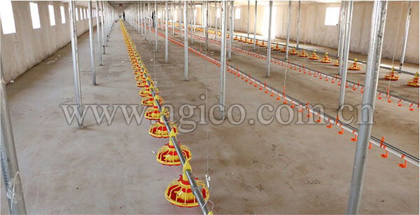 Automatic Chicken Feeder System