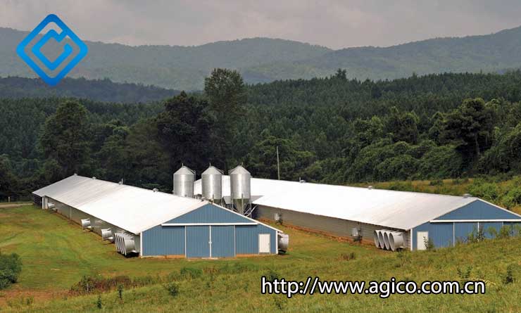 automatic farming system in modern poultry house